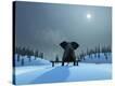 Stretched Canvas Print