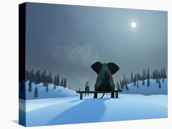 Stretched Canvas Print, , large