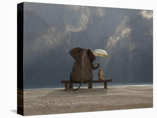 Stretched Canvas Print, , large