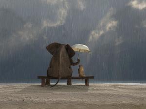 Elephant And Dog Sit Under The Rain by Mike_Kiev