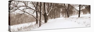 First Snow II-Mike Sleeper-Framed Giclee Print