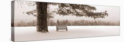 Misty Morning-Mike Sleeper-Stretched Canvas