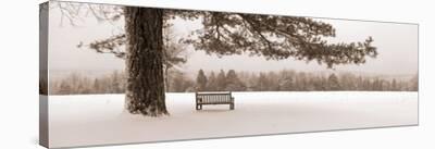 First Snow II-Mike Sleeper-Stretched Canvas