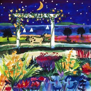 Views of August Stars by Mike Smith