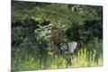 Giclee Print