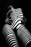 Zebra Shadow-Mikhail Faletkin-Premier Image Canvas