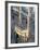 Milan Cathedral, Milan, Lombardy, Italy-Adam Woolfitt-Framed Photographic Print