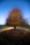 Mystical Tree-Milan Malovrh-Photographic Print