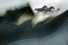 Gallop for Two-Milan Malovrh-Photographic Print