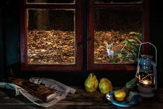 Red fox vixen looking in through window of cottage, Hungary-Milan Radisics-Framed Photographic Print