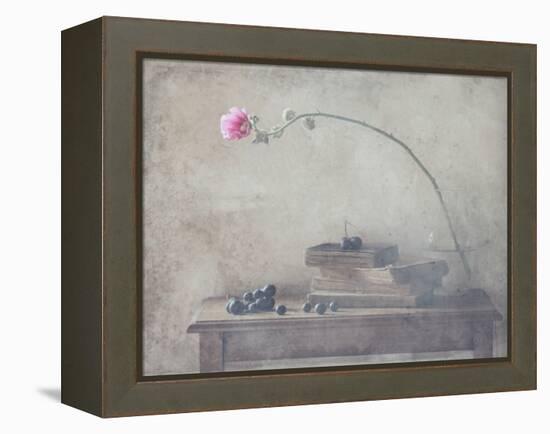 Mild Morning of October-Delphine Devos-Framed Premier Image Canvas