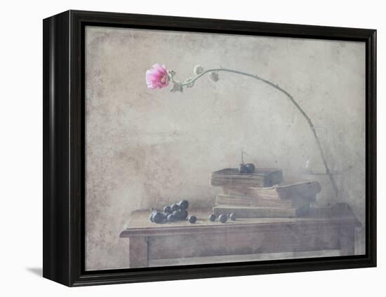 Mild Morning of October-Delphine Devos-Framed Premier Image Canvas