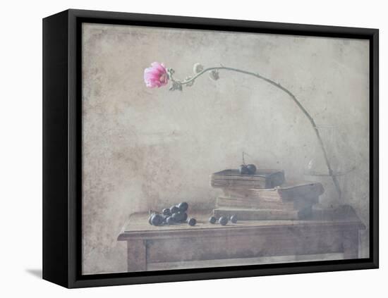 Mild Morning of October-Delphine Devos-Framed Premier Image Canvas