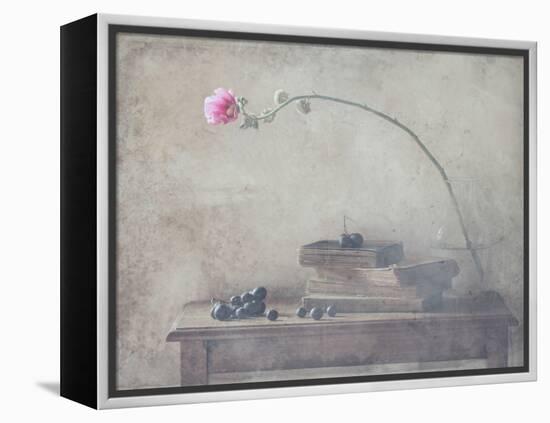 Mild Morning of October-Delphine Devos-Framed Premier Image Canvas