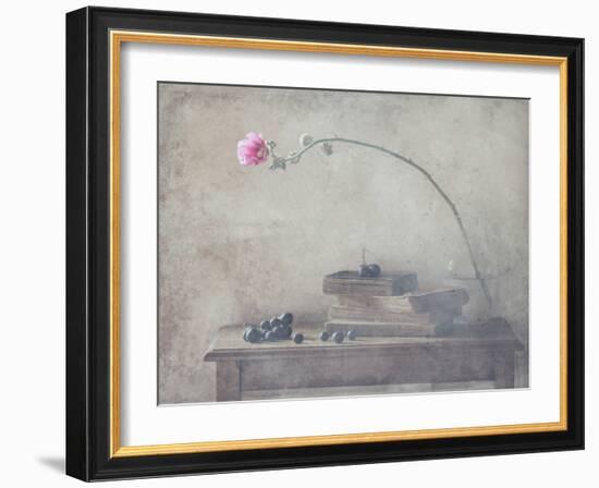 Mild Morning of October-Delphine Devos-Framed Photographic Print