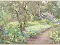 A Woman Sketching in a Glade-Mildred Anne Butler-Giclee Print