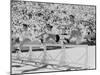 Mildred 'Babe' Didrikson, Running the 80-Meter Hurdles, at the 1932 Olympics-null-Mounted Photo