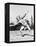 Mildred 'Babe' Didrikson, Winding Up for Javelin Toss at the 1932 Olympics-null-Framed Stretched Canvas