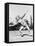 Mildred 'Babe' Didrikson, Winding Up for Javelin Toss at the 1932 Olympics-null-Framed Stretched Canvas