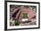 Mile High Stadium - Denver, Colorado-Mike Smith-Framed Art Print