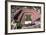 Mile High Stadium - Denver, Colorado-Mike Smith-Framed Art Print