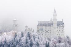 Neuschwanstein Castle in Winter, Fussen, Bavaria, Germany, Europe-Miles Ertman-Photographic Print