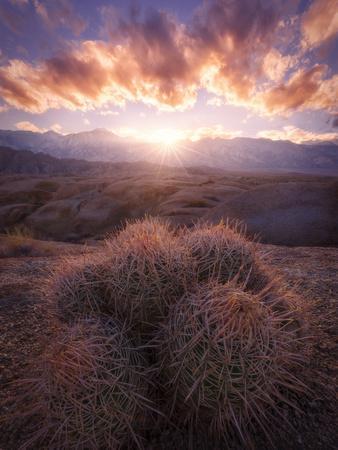 Movie Flat Road View of Alabama Hills & Barrel Cacti