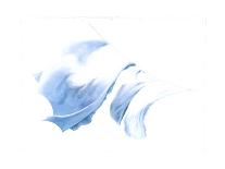 Fierce Blue Shirt, 2003-Miles Thistlethwaite-Giclee Print