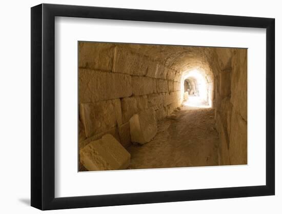 Miletus, a Major Ionian Center of Trade and Learning-Emily Wilson-Framed Photographic Print