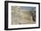 Miletus, a Major Ionian Center of Trade and Learning-Emily Wilson-Framed Photographic Print