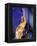 Miley Cyrus-null-Framed Stretched Canvas