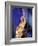 Miley Cyrus-null-Framed Photo