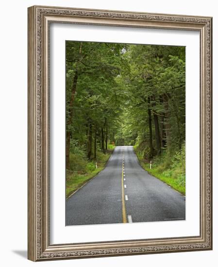 Milford Road, Fjordland National Park, Fjordland, South Island, New Zealand-David Wall-Framed Photographic Print