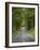 Milford Road, Fjordland National Park, Fjordland, South Island, New Zealand-David Wall-Framed Photographic Print