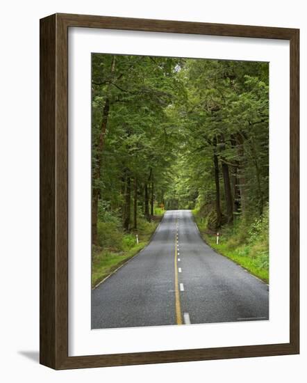 Milford Road, Fjordland National Park, Fjordland, South Island, New Zealand-David Wall-Framed Photographic Print