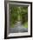 Milford Road, Fjordland National Park, Fjordland, South Island, New Zealand-David Wall-Framed Photographic Print