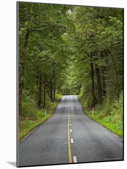 Milford Road, Fjordland National Park, Fjordland, South Island, New Zealand-David Wall-Mounted Photographic Print