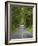 Milford Road, Fjordland National Park, Fjordland, South Island, New Zealand-David Wall-Framed Photographic Print