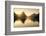 Milford-sound-2-Lincoln Harrison-Framed Photo