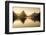 Milford-sound-2-Lincoln Harrison-Framed Photo