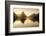 Milford-sound-2-Lincoln Harrison-Framed Photo