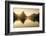 Milford-sound-2-Lincoln Harrison-Framed Photo