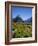 Milford Sound, Mitre Peak, New Zealand-Steve Vidler-Framed Photographic Print