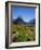 Milford Sound, Mitre Peak, New Zealand-Steve Vidler-Framed Photographic Print