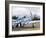 Military Airshow, Olympia, Washington, USA-William Sutton-Framed Photographic Print