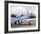 Military Airshow, Olympia, Washington, USA-William Sutton-Framed Photographic Print