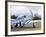 Military Airshow, Olympia, Washington, USA-William Sutton-Framed Photographic Print