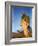 Military Macaw-Eliot Elisofon-Framed Photographic Print