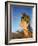 Military Macaw-Eliot Elisofon-Framed Photographic Print