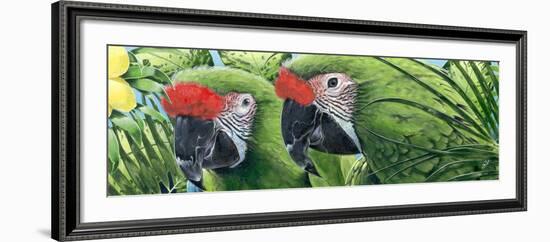 Military Macaws-Durwood Coffey-Framed Giclee Print